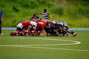 IMG_0812.JPG