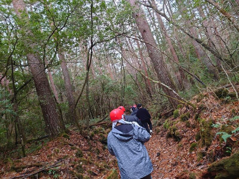 20221126_140718_copy_800x600.jpg