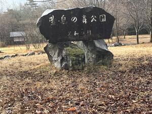 1A12BCB8-E99B-440D-8EE7-570DD72CAD83.jpeg