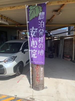 IMG_5943.jpeg