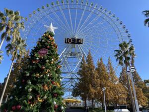 EEC11A9B-5210-4135-AC62-BDC1D6D146BA.jpeg