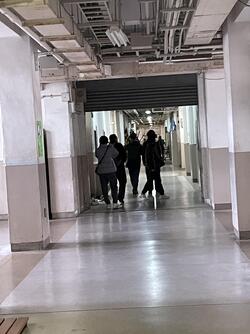 IMG_2622.JPG