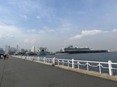 CBB95FD0-2498-475B-B297-A35B170D01EE.jpeg