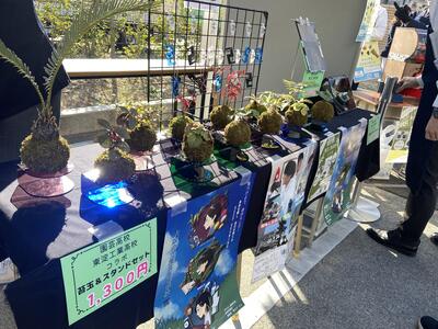 image_50758913.JPG