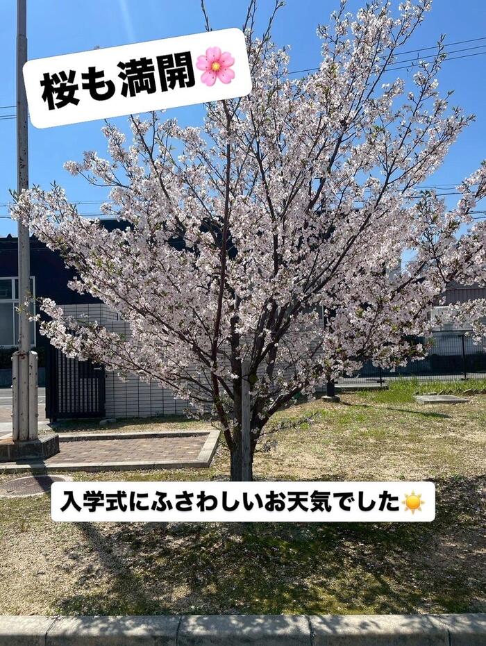 2F78E037-6C0F-4BC7-BA10-0A0499B681CF.jpeg