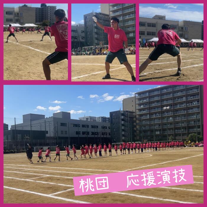 IMG_9343.jpeg