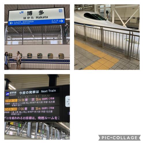 IMG_1291.jpeg