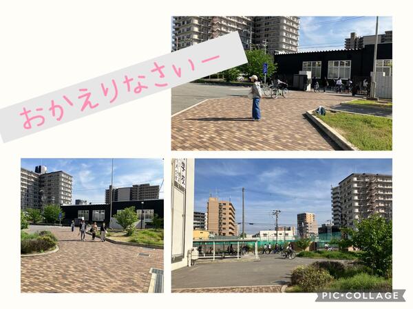 IMG_0526.jpeg