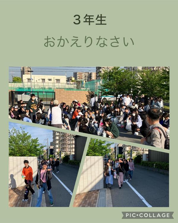 IMG_0536.jpeg