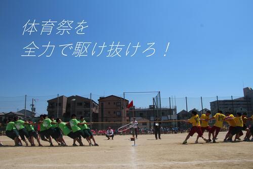 07綱引き.JPG