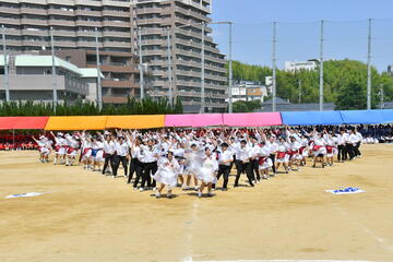 白-4595.JPG