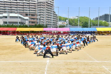 茶-4485.JPG