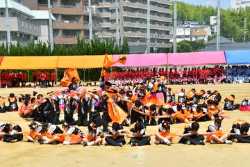 橙-4718.JPG