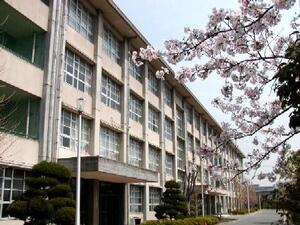 img_sakura.jpg