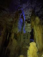 DSC_2996.JPG