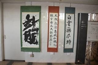 DSC_7385.jpg
