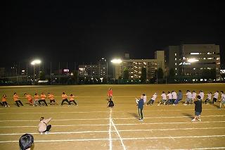 323.jpg