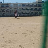 20241013_111530.JPG