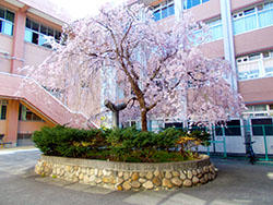 DSCN0342.JPG