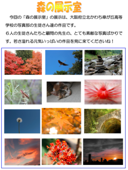 写真部20221214.png