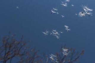 写真20230111-1.jpg