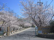 16sisetu01.jpg