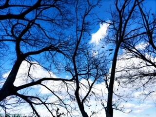 写真部20221219-4.jpg