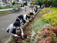 h30植え替え1.jpg