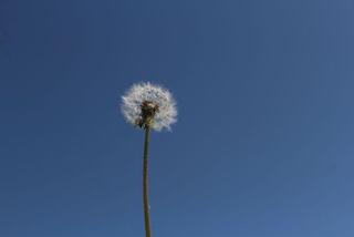 写真20230111-2.jpg