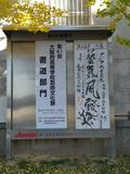 IMG_20201115_084230D.jpg