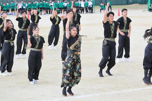 3210.JPG