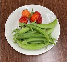 園芸部.jpg