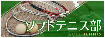 club_taiku_softtennis2.png