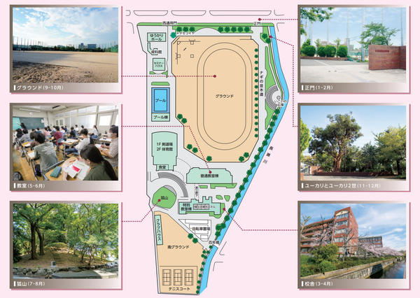 facility_information.png