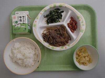 P4090400.JPG