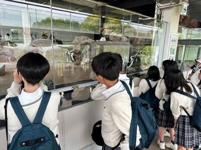 ５／１０　修学６－３.jpg
