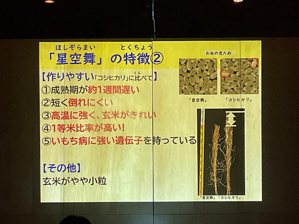 2025年11月7日（13_42）(6).jpg