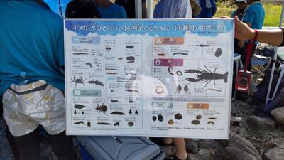 ７／２８　水生調査３.jpg