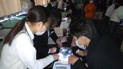 １１／２９　理科授業５.jpg
