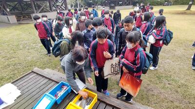 １１／１７　朝２－３.jpg