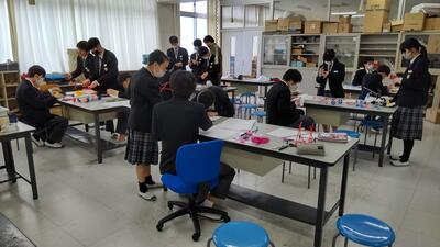 ３／７　分野もの２－１.jpg