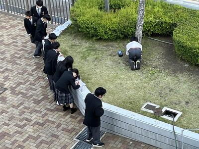 2025年4月16日（15_06） (1).jpg