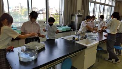 ６／２８　理科１Ａ２.JPG