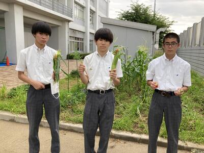 ７／１３　技術２.JPG