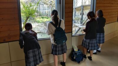 １１／３０　芸術分野３.jpg