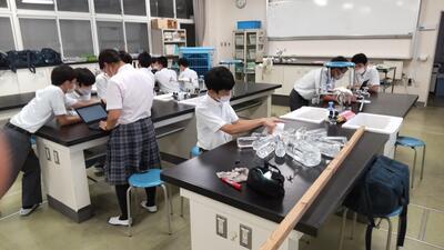 ８／３０　科学部１－２.jpg
