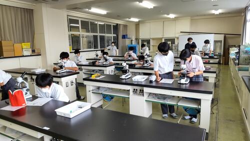 ９／１　分野　もの（１年）.jpg