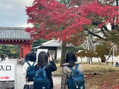 １１／２８　社会科部３.jpg