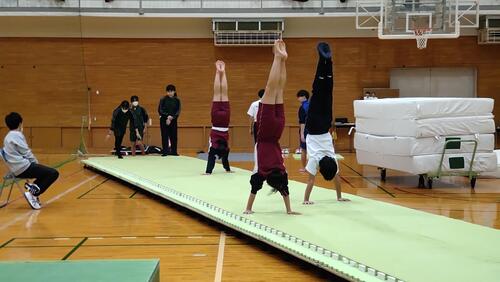 １／１９分野体操.jpg