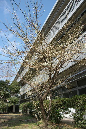 IMGP8925s.jpg